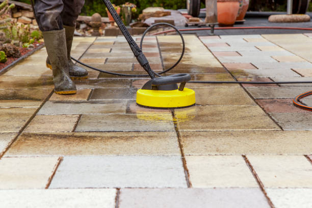 Best Dumpster Area Cleaning  in Pine Level, NC